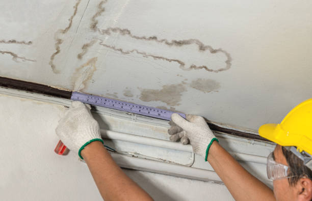 Reliable Water Extraction contractor in Buffalo, ND by Water Damage Irwin